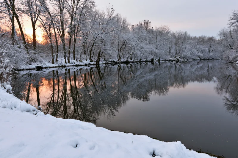 Snow-covered trees reflected in calm river at sunset