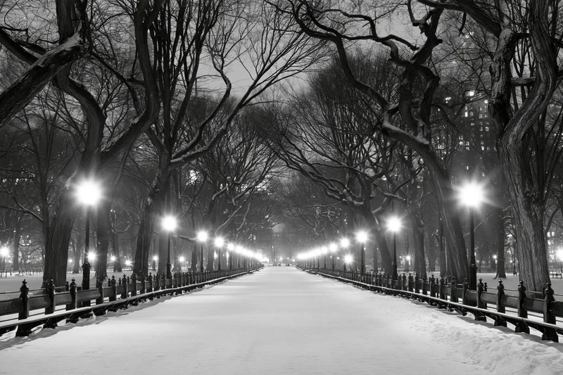 Snow-covered pathway lined with trees and streetlights in central park at night