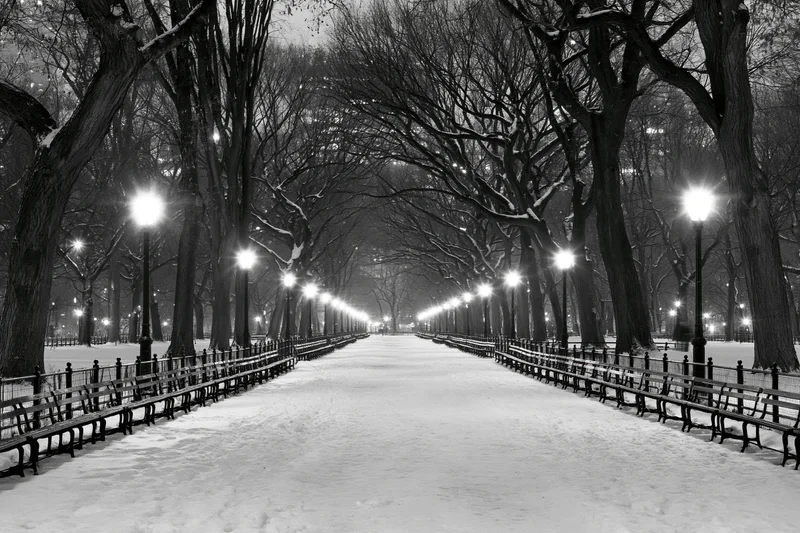 Snow-covered pathway lined with bare trees and benches in central park at night