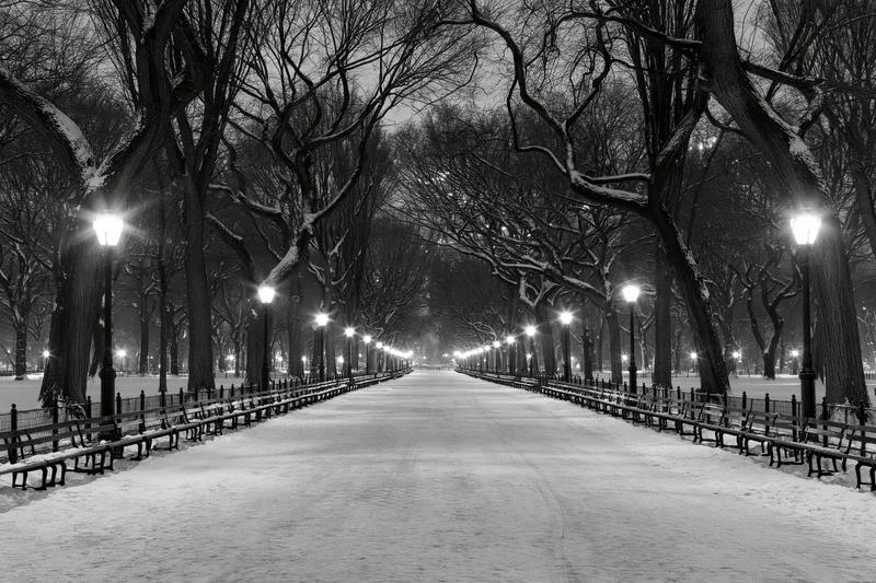 Snow-covered pathway lined with bare trees and benches in central park at night