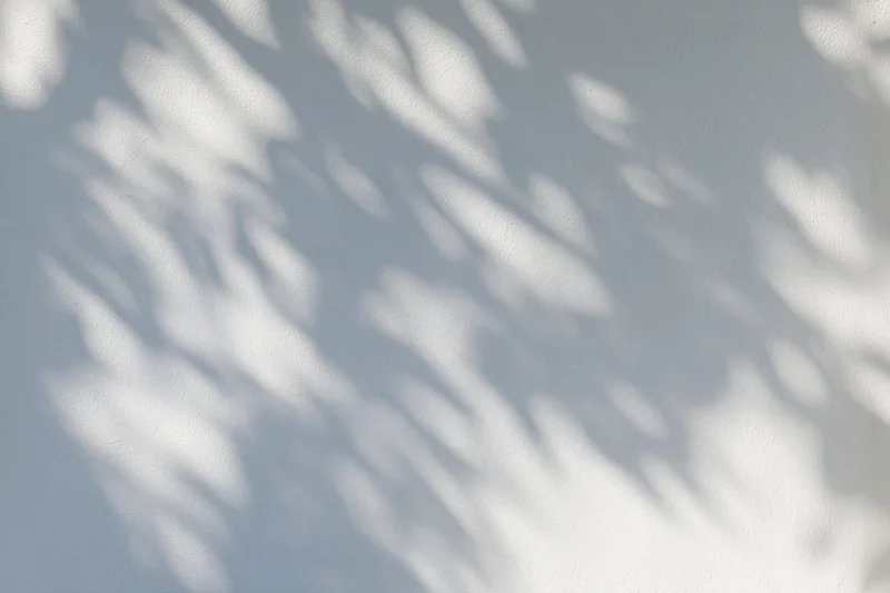 Dappled leaf shadows and soft light bokeh on a plain wall surface