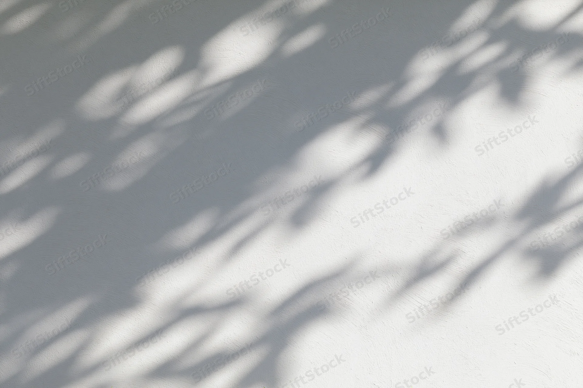 Dappled leaf shadows and soft light projected across a plain white wall