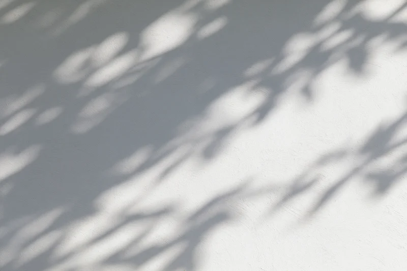 Dappled leaf shadows and soft light projected across a plain white wall