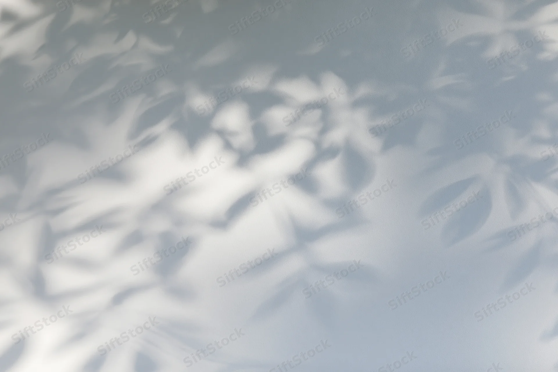 Dappled leaf shadows cast across a light gray surface