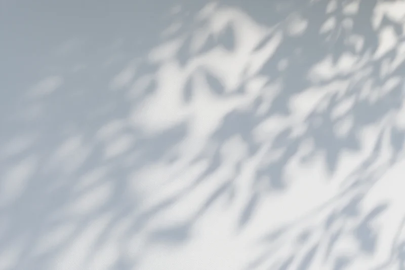 Dappled leaf shadows cast across a plain light grey-white surface