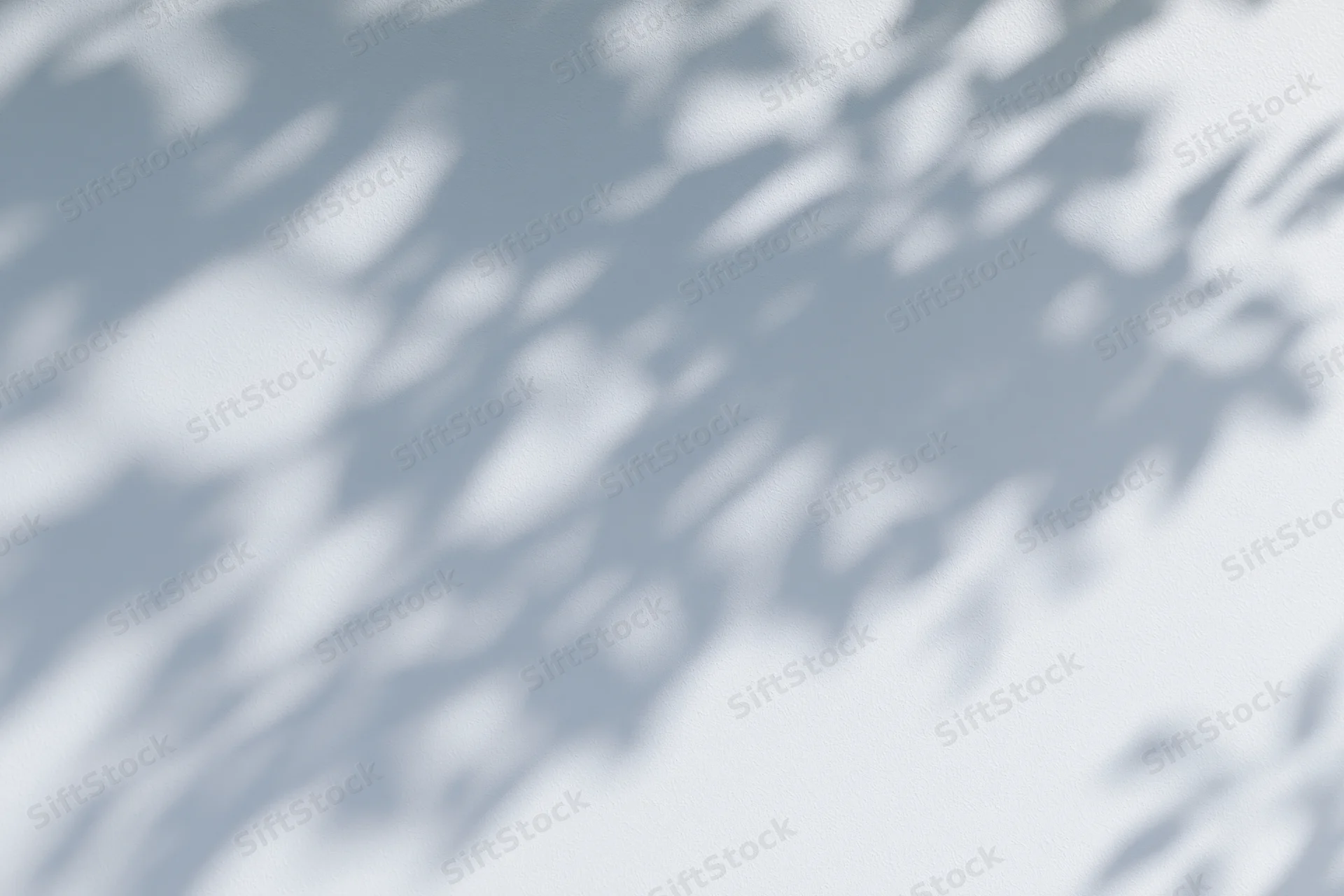 Dappled leaf shadows cast across a light grey-white surface in soft natural light