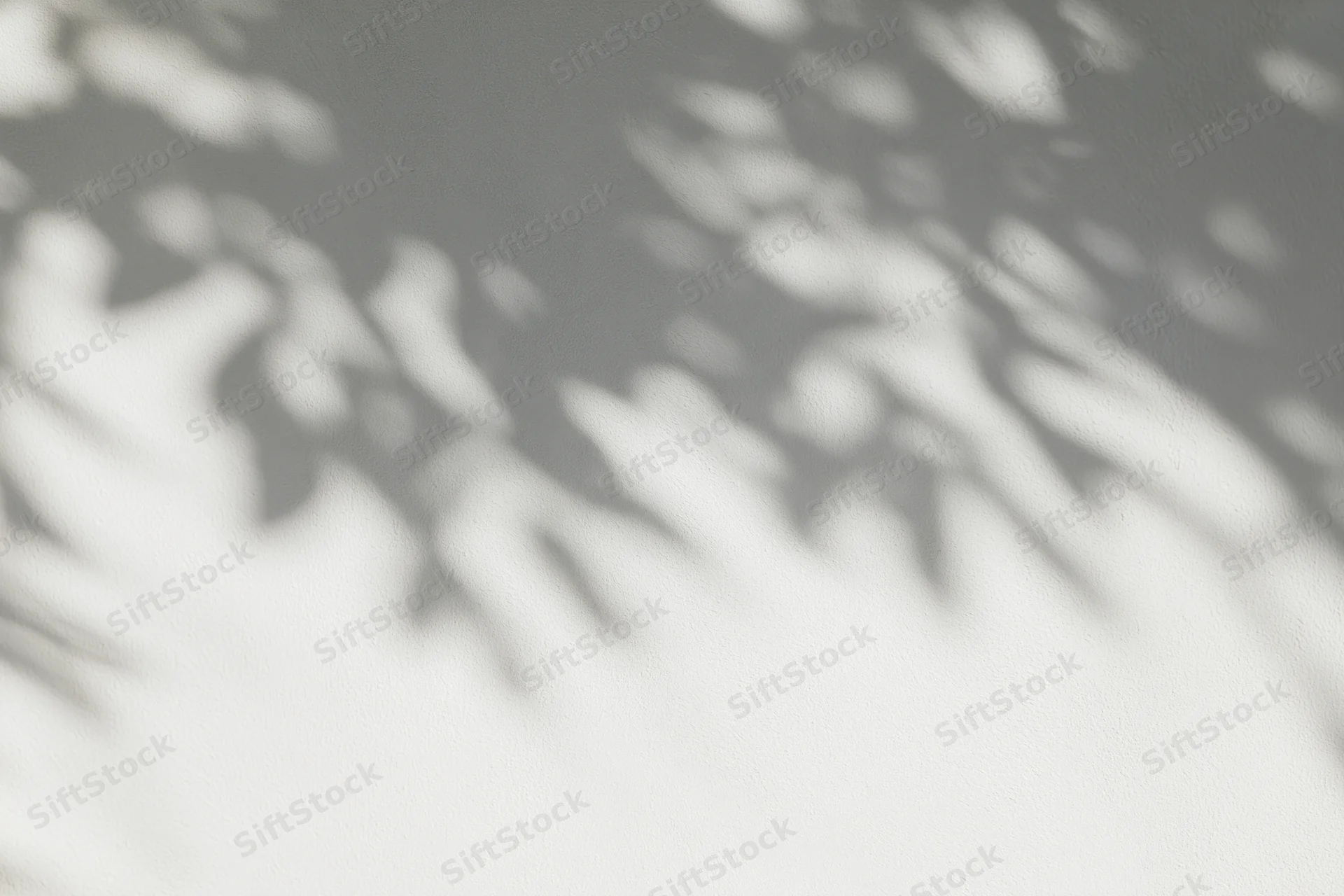 Dappled leaf shadows cast across a plain light grey wall