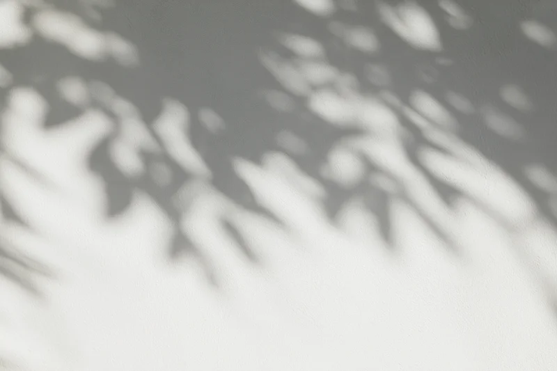 Dappled leaf shadows cast across a plain light grey wall