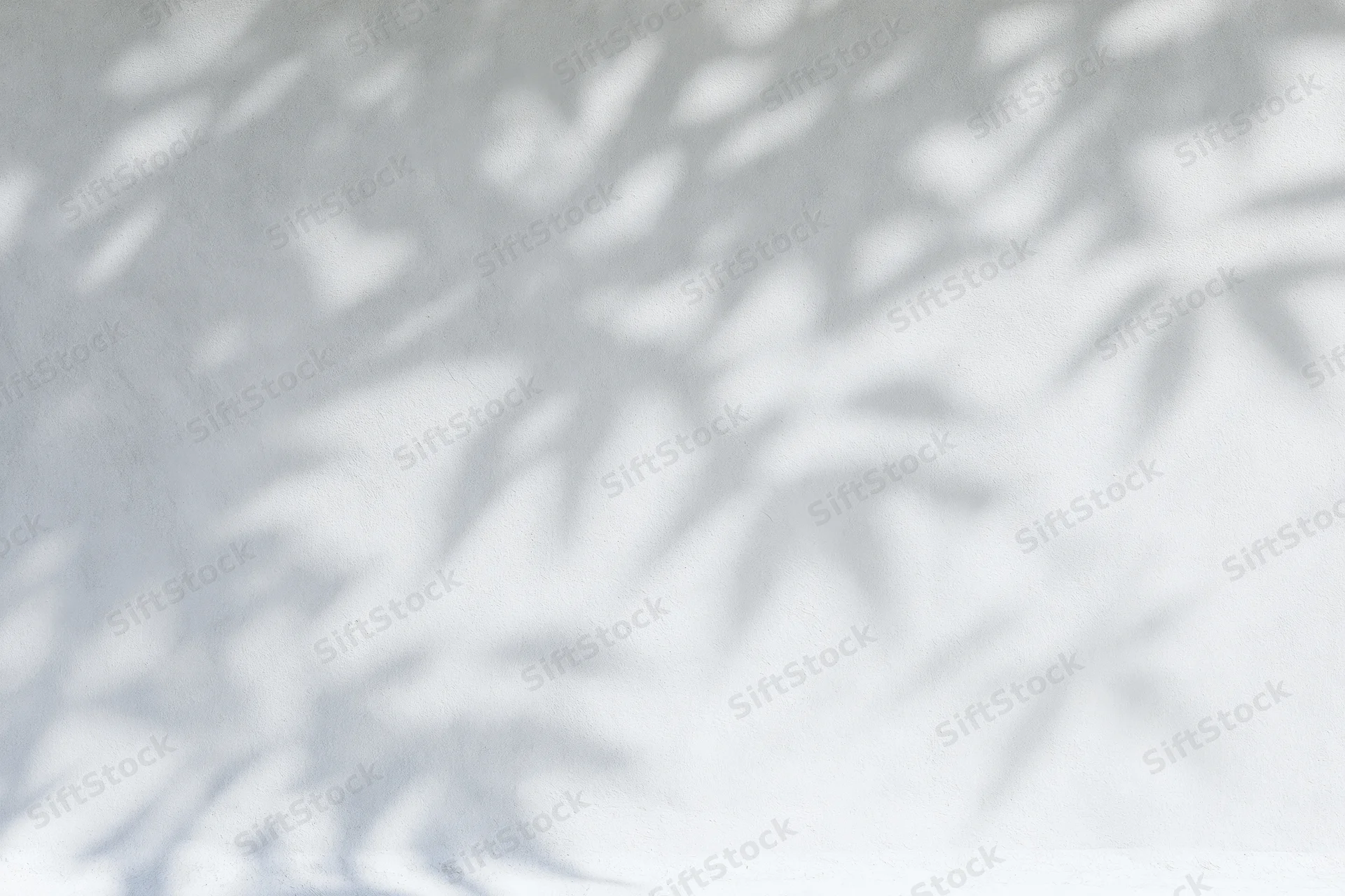 Dappled leaf shadows on a light grey wall