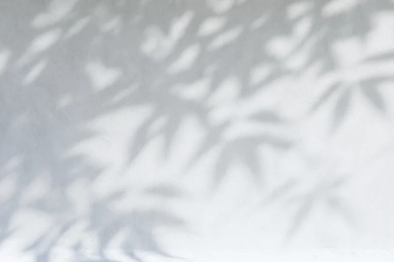 Dappled leaf shadows on a light grey wall