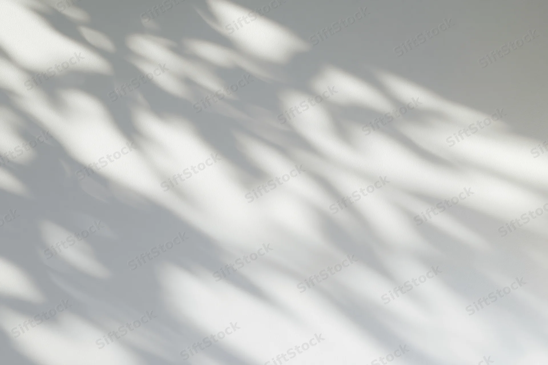 Dappled leaf shadows cast across a plain light grey wall