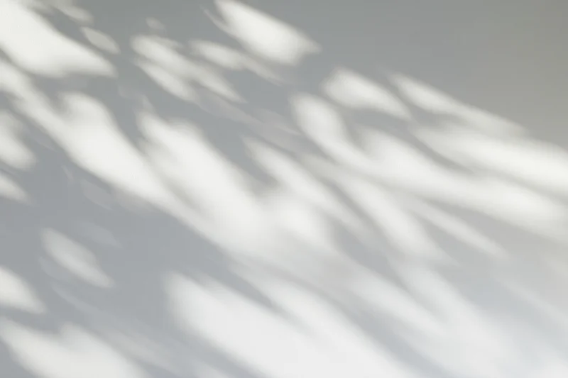 Dappled leaf shadows cast across a plain light grey wall