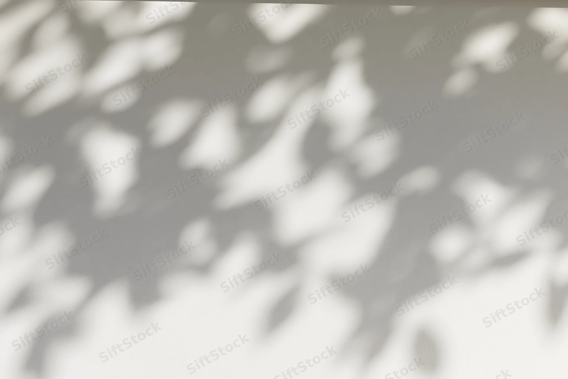 Dappled leaf shadows cast across a plain light grey surface