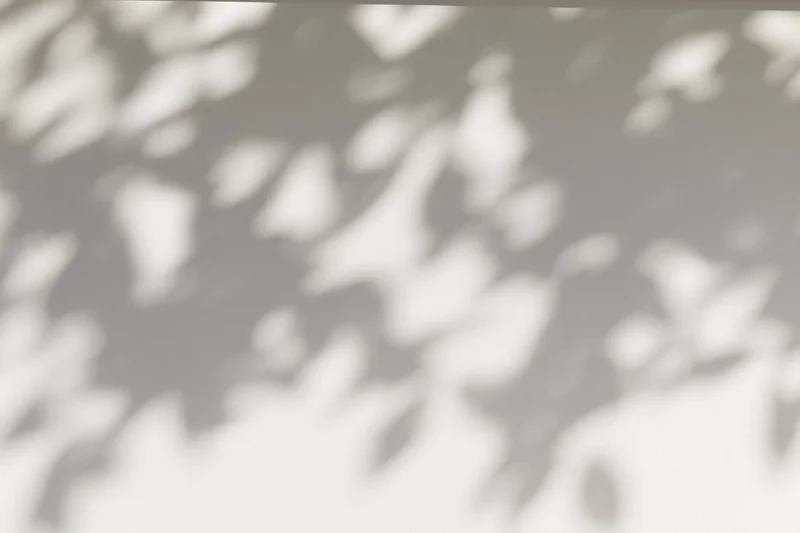 Dappled leaf shadows cast across a plain light grey surface