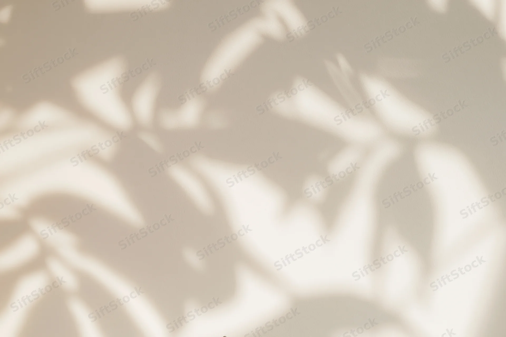 Dappled leaf shadows cast across a plain off-white surface