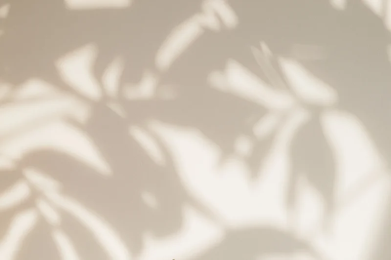Dappled leaf shadows cast across a plain off-white surface