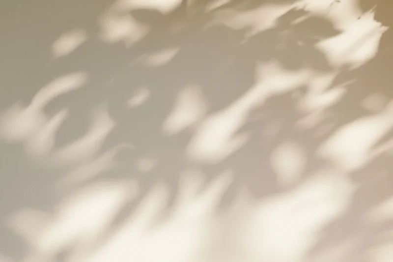 Dappled leaf shadows cast across a plain off-white wall