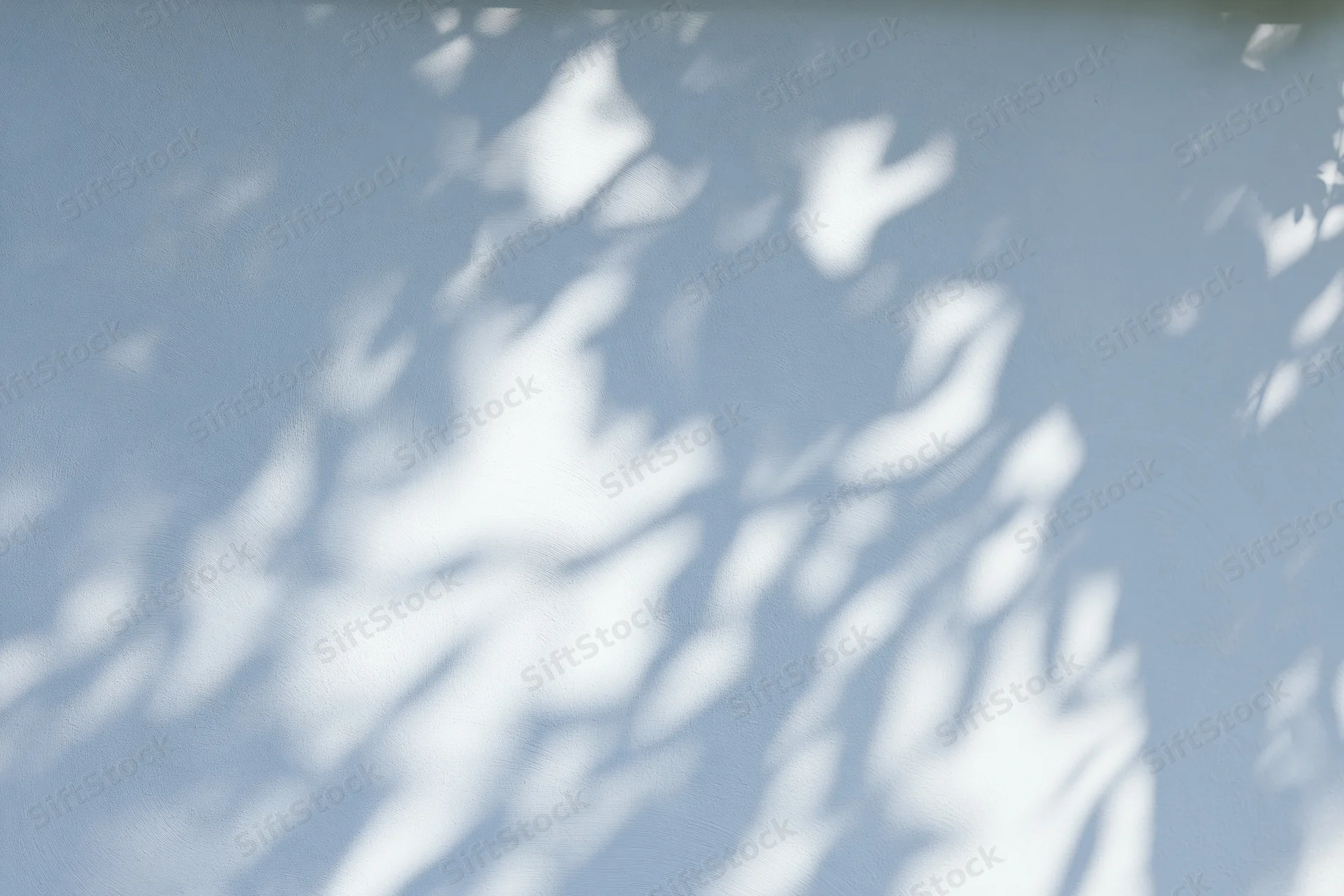 Dappled leaf shadows cast across a pale grey-white surface in soft natural light