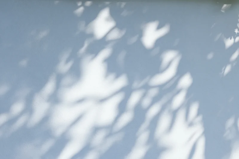 Dappled leaf shadows cast across a pale grey-white surface in soft natural light