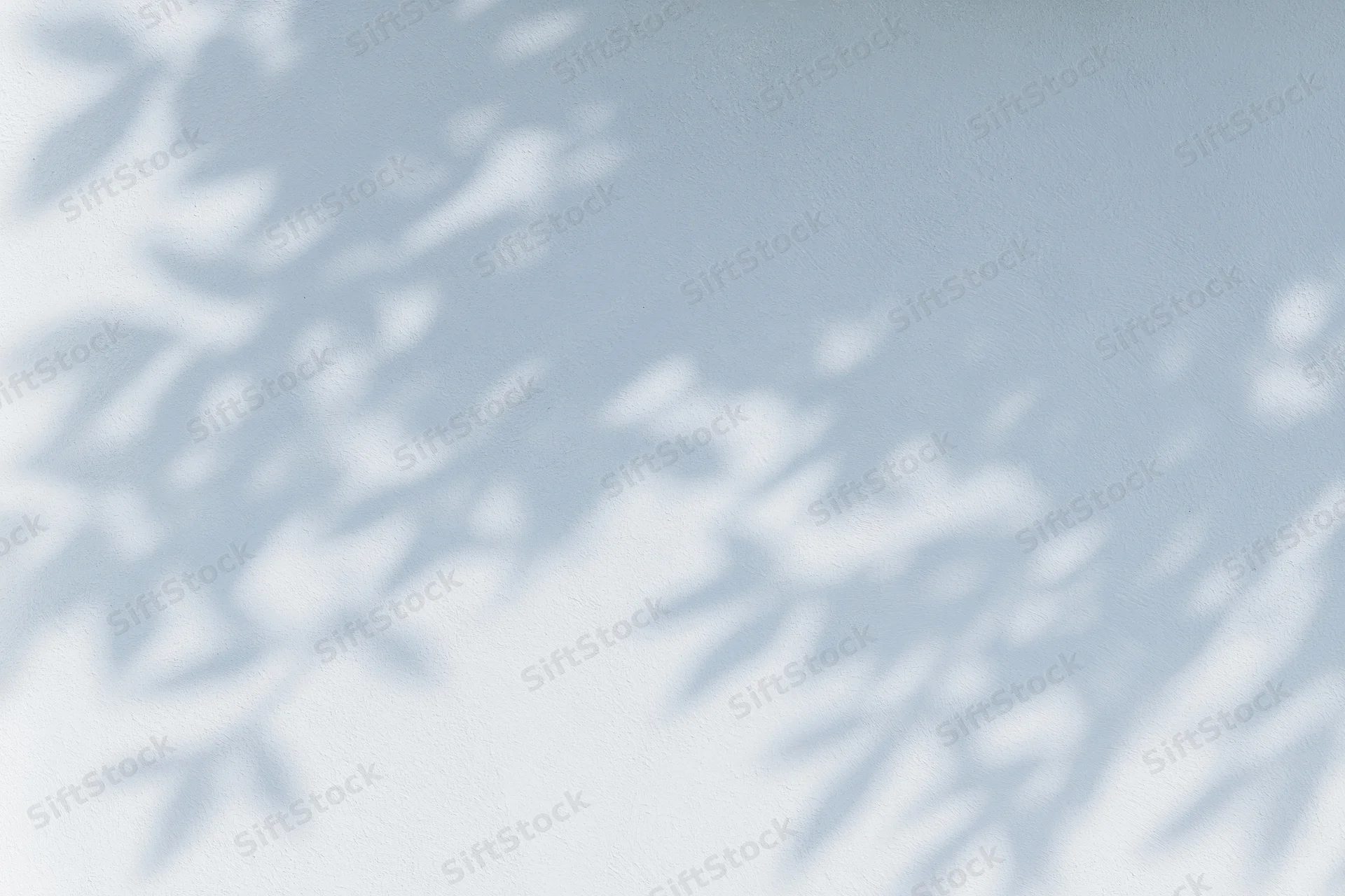 Dappled leaf shadows cast across a plain white-grey wall surface