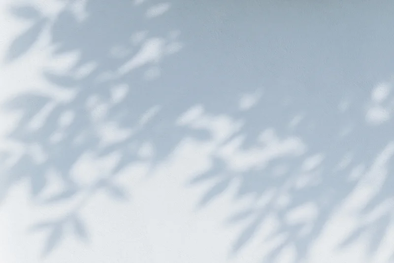 Dappled leaf shadows cast across a plain white-grey wall surface