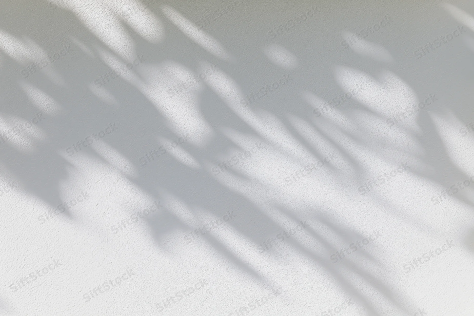 Dappled leaf shadows cast across a white plaster wall