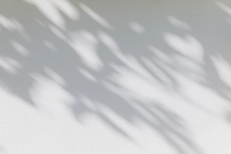 Dappled leaf shadows cast across a white plaster wall