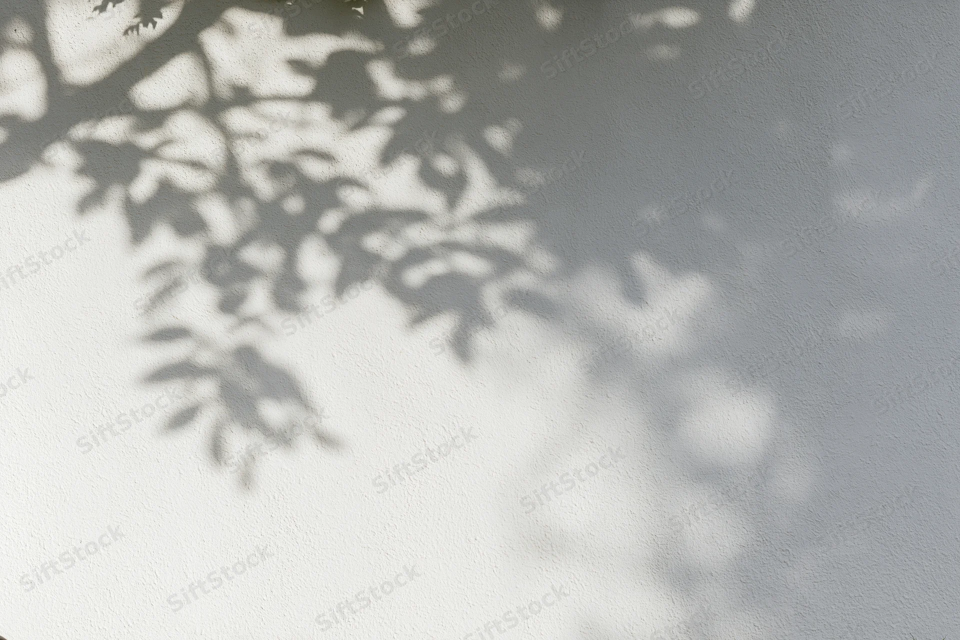 Dappled leaf shadows cast across a white stucco wall outdoors