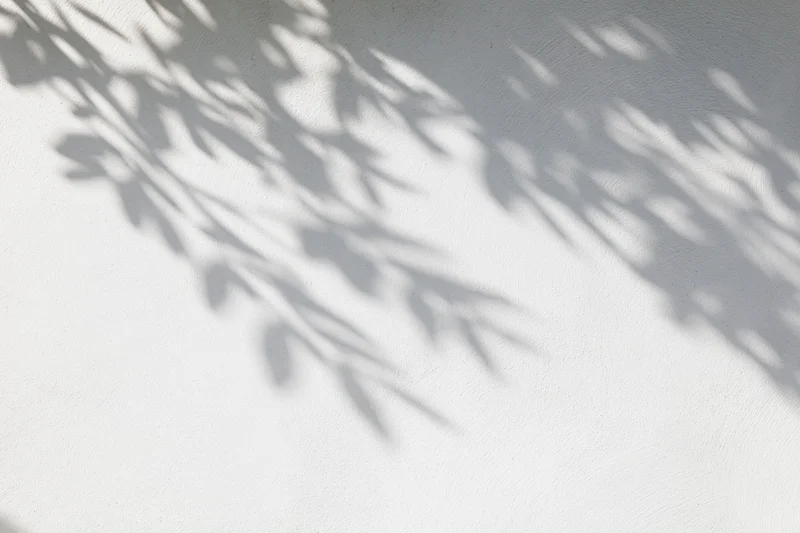 Dappled leaf shadows cast across a white stucco wall