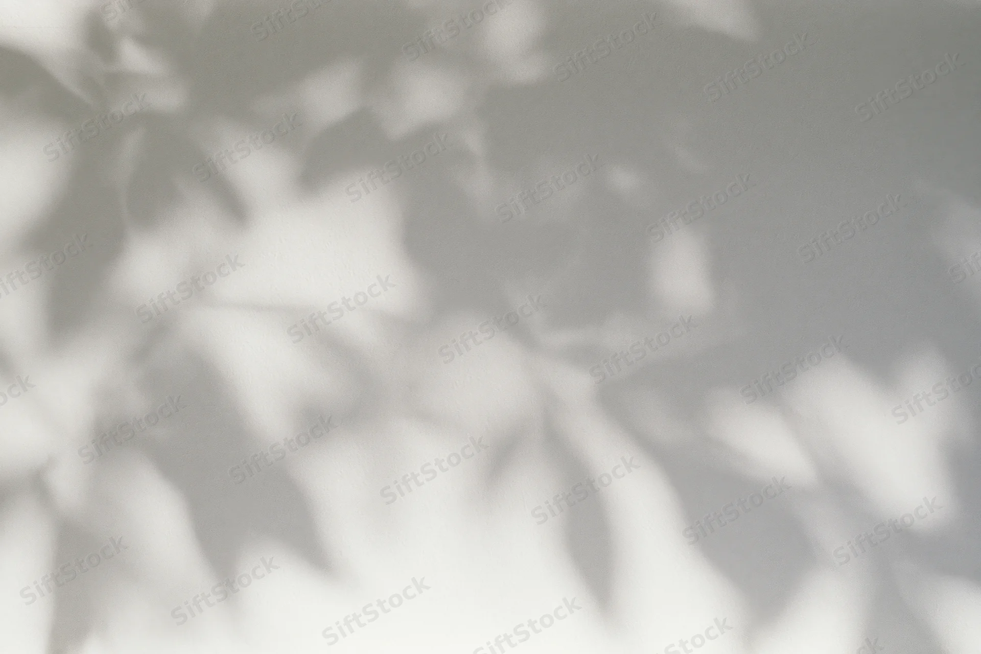 Dappled leaf shadows cast across a plain white wall
