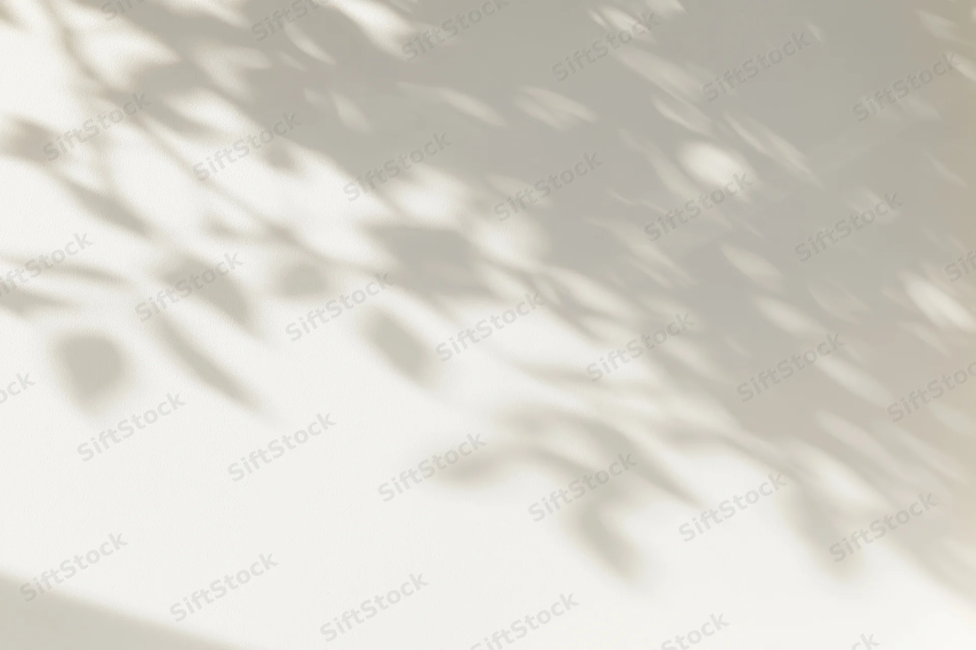 Dappled leaf shadows cast across a plain white wall in soft natural light