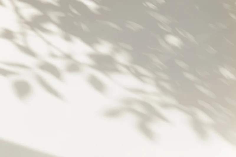 Dappled leaf shadows cast across a plain white wall in soft natural light