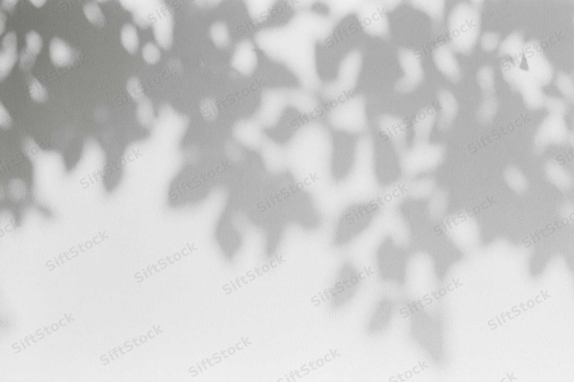 Dappled leaf shadows cast across a plain white wall in soft natural light