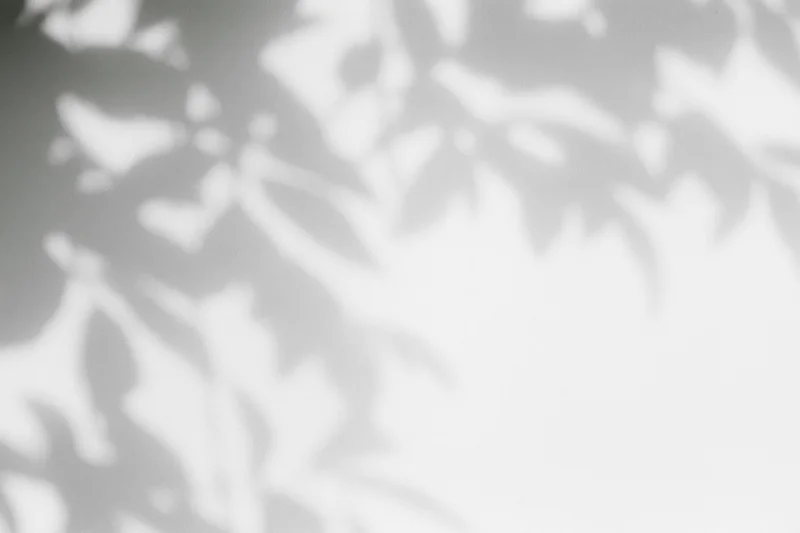 Dappled leaf shadows cast across a plain white wall in soft sunlight