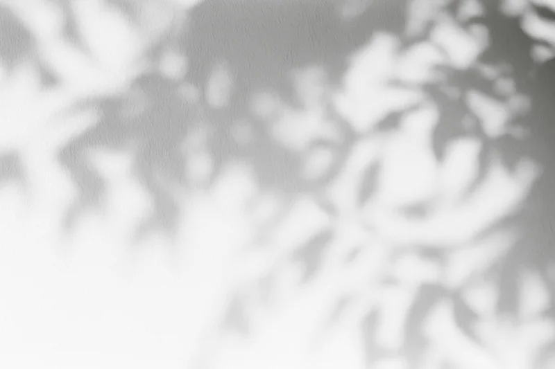 Dappled leaf shadows cast across a plain white wall in soft sunlight