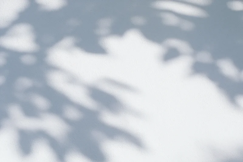 Dappled leaf shadows cast across a plain white wall in soft natural light