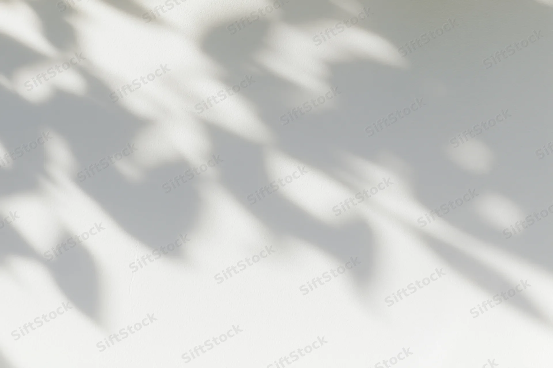 Dappled leaf shadows cast across a plain white wall in soft natural light