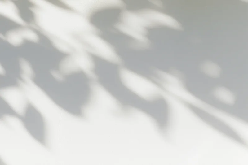 Dappled leaf shadows cast across a plain white wall in soft natural light