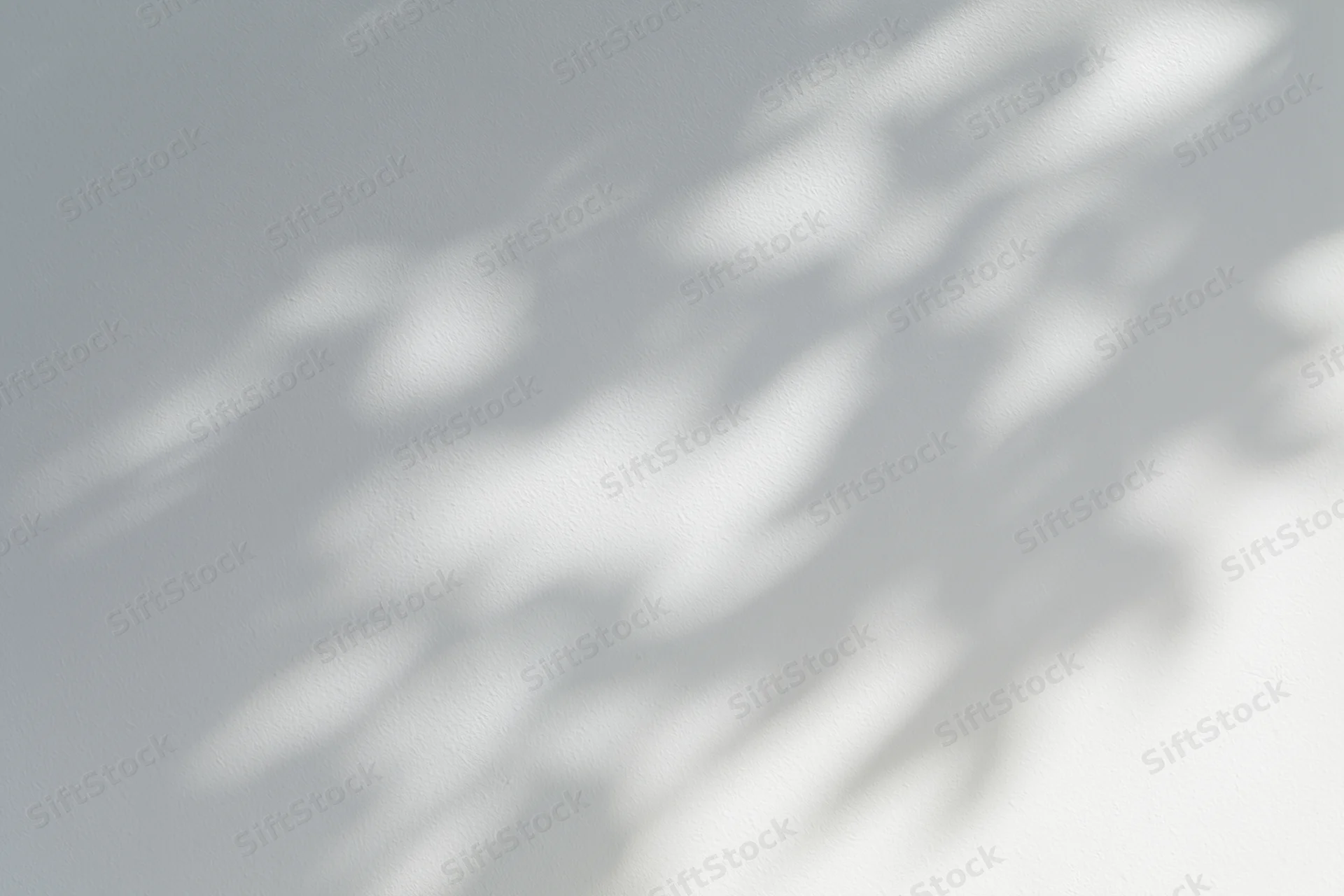 Dappled leaf shadows on a white wall from sunlight