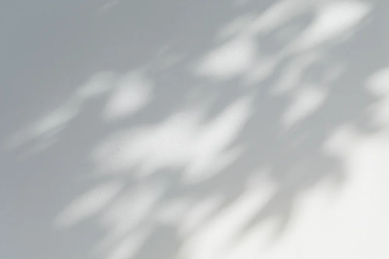 Dappled leaf shadows on a white wall from sunlight