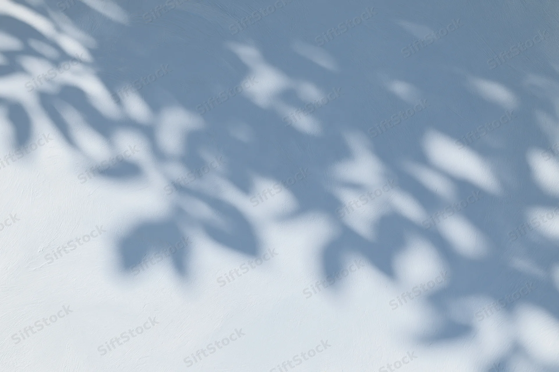 Dappled leaf shadows cast across a smooth pale blue-grey wall