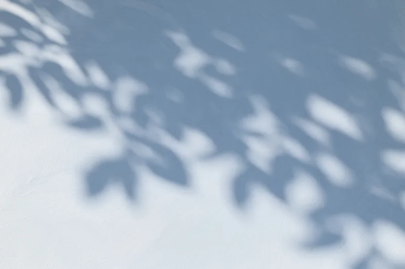 Dappled leaf shadows cast across a smooth pale blue-grey wall