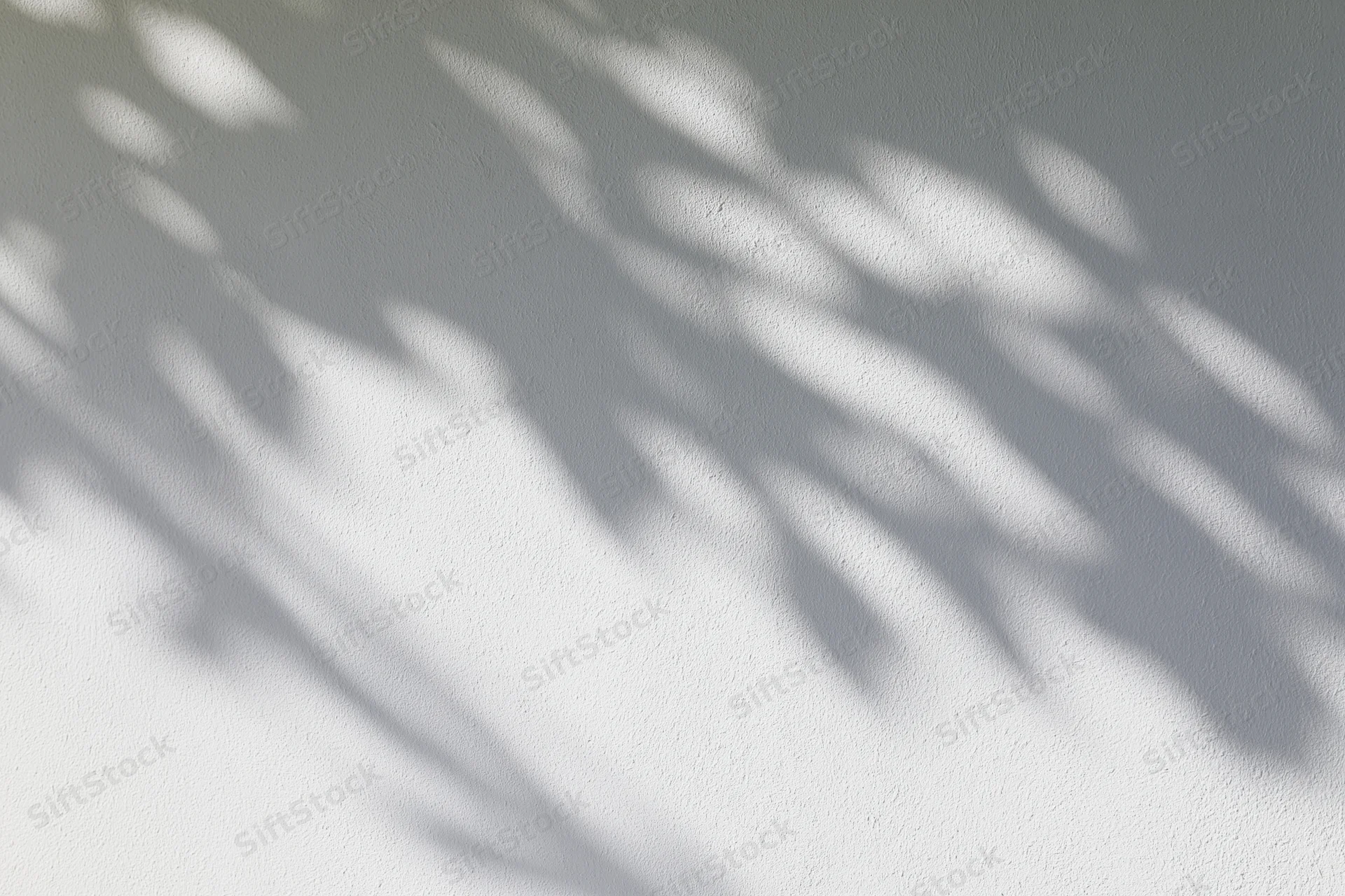 Dappled leaf shadows cast diagonally across a plain white wall