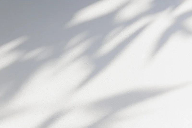 Dappled leaf shadows cast diagonally across a white wall