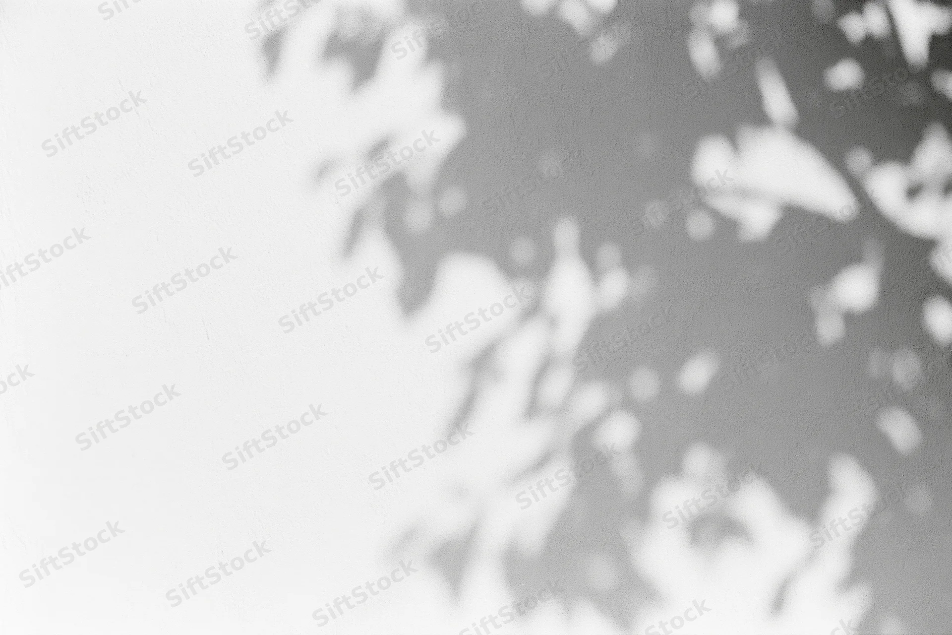 Dappled shadow of tree branches and leaves cast on a white wall