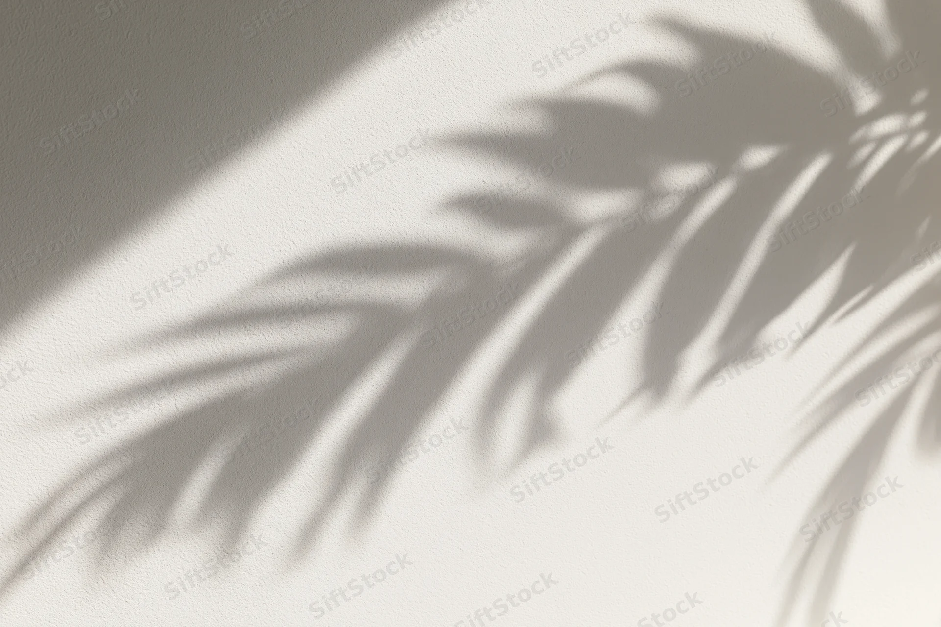 Shadow of tropical leaves cast on a plain wall surface