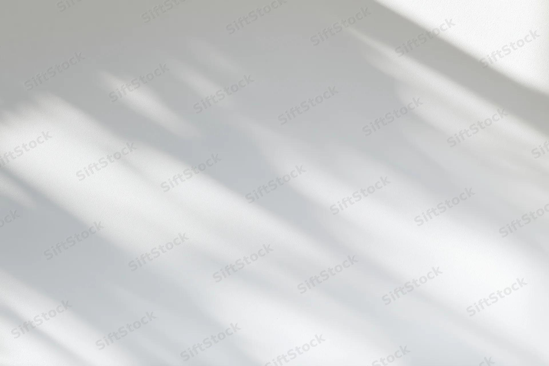 Soft dappled shadows from a window cast across a plain white surface