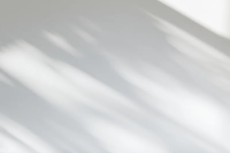 Soft dappled shadows from a window cast across a plain white surface