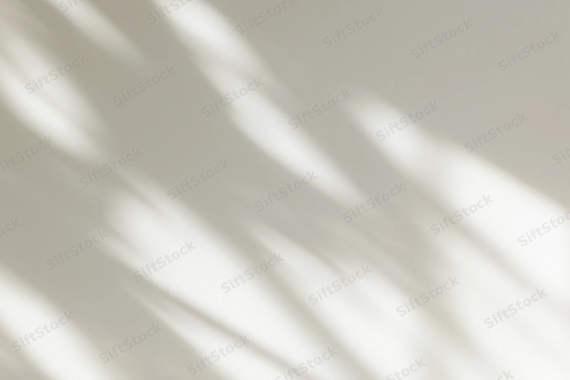 Soft dappled shadows from a window cast across a plain beige wall