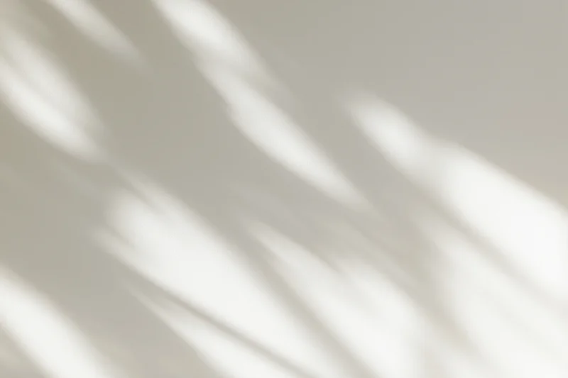 Soft dappled shadows from a window cast across a plain beige wall